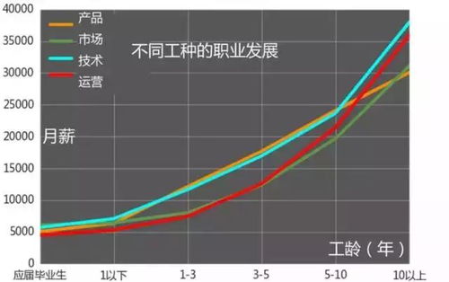 學(xué)什么技術(shù)最賺錢？互聯(lián)網(wǎng)行業(yè)薪酬深度解析 聚焦信息技術(shù)開發(fā)與運(yùn)營